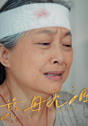 慈母无泪(30集) 慈母无泪(30集)短剧大结局限免特辑