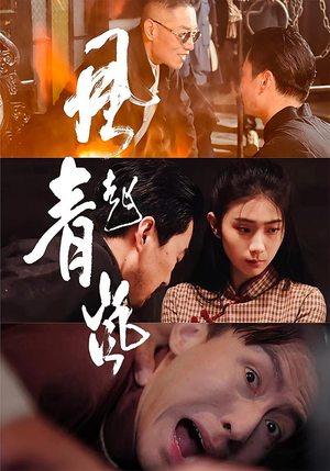 风起青岚（96集）短剧合集导演剪辑版