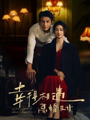 幸得相遇离婚时（81集）短剧合集杜比音效版