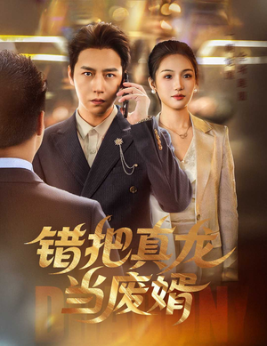 错把真龙当废婿（60集）短剧终极大结局合集