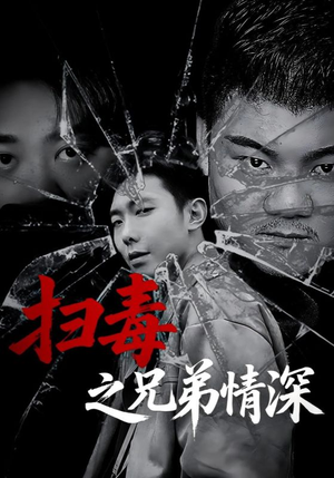 扫毒之兄弟情深（50集）短剧大结局全集解锁