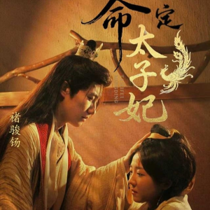 命定太子妃（63集）短剧全剧终限免畅刷