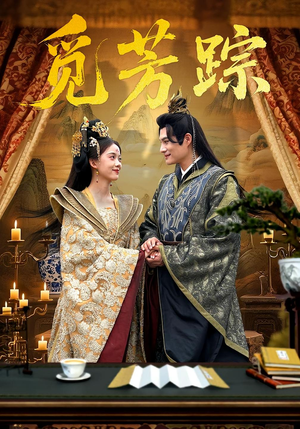 觅芳踪（91集）短剧全集连看不停歇