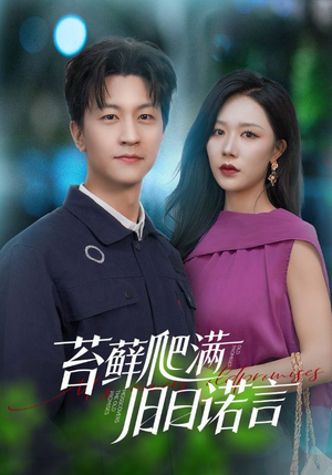 情途难负（83集）短剧全剧终合集放送