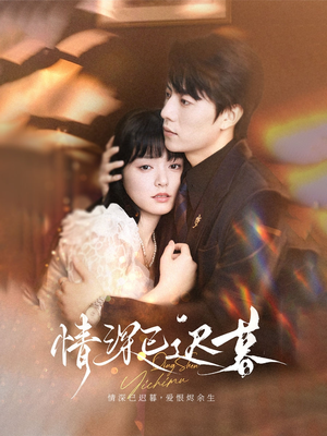 情深已迟暮（50集）短剧大结局限免特辑