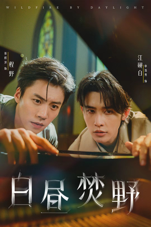 白昼焚野（70集）短剧合集导演剪辑版