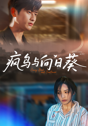 疯鸟与向日葵（40集）短剧经典全集任你选