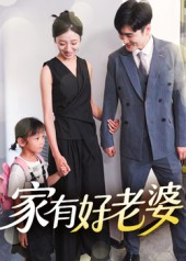 家有好老婆（35集）短剧热播全集免费追