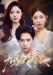 鸠占鹊巢（70集）短剧宝藏全集限免看