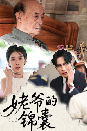 姥爷的锦囊（63集）短剧全剧终合集放送