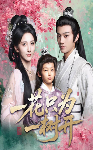 一花只为一树开（54集）短剧大结局全集解锁