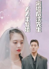 离婚后沈先生天天求复婚（100集）短剧全季限免大放送