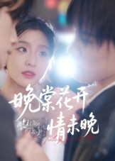 晚棠花开情未晚（30集）短剧合集杜比音效版
