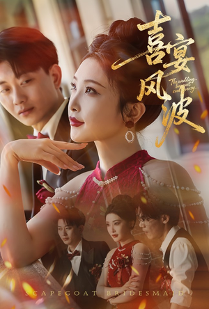 喜宴风波（30集）短剧大结局超前点映