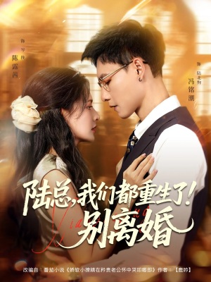 陆总我们都重生了别离婚（79集）短剧最终章免费合集