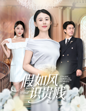 假如风识贵贱（58集）短剧全集热力排行榜之一