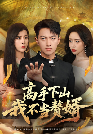 高手下山我不当赘婿（66集）短剧经典全集任你选