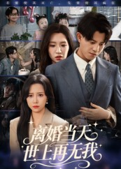 离婚当天世上再无我（60集）短剧爆款全集在线播