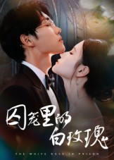 囚笼里的白玫瑰（59集）短剧收官全集限免看