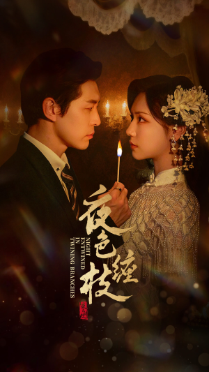 夜色缠枝百度HE版本（62集）短剧合集蓝光画质