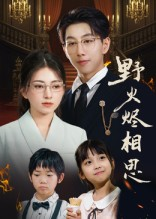 野火烬相思（61集）短剧完整版全集放送