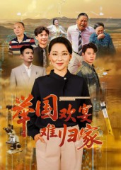 举国欢宴难归家（40集）短剧高分全集在线刷