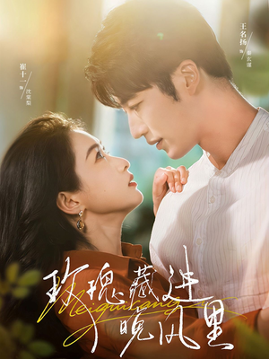 玫瑰藏进晚风里（68集）短剧全剧终高清放送