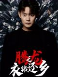 腾龙之衣锦还乡（30集）短剧最终回限免畅看