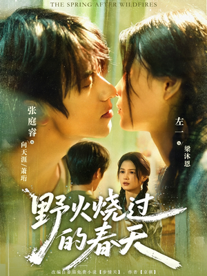 野火烧过的春天（85集）短剧全剧终限免畅刷