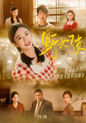 野女孩（91集）短剧超清全集在线看