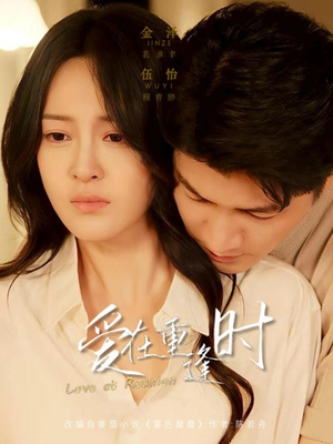 爱在重逢时（65集）短剧全集无删完整版