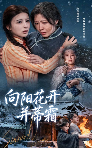 向阳花开并蒂霜（60集）短剧精选全集无广告