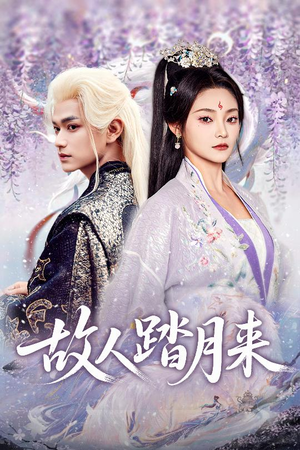 故人踏月来（60集）短剧精选全集无广告