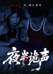 夜半诡声（28集）短剧终极大结局合集