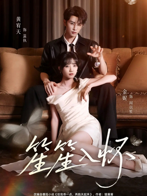 笙笙入怀（108集）短剧全集畅看无门槛