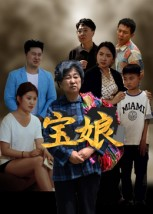 宝娘（23集）短剧全集高清无码版