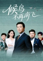 候鸟不再南飞（80集）短剧全集连看不停歇