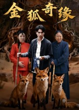 金狐奇缘（42集）短剧大结局合集放送