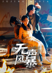 无声风暴（33集）短剧合集杜比音效版