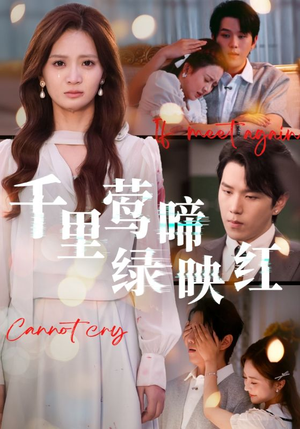 千里莺啼绿映红(63集) 千里莺啼绿映红(63集)短剧全集VR沉浸版