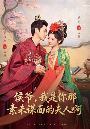 侯爷我是你那素未谋面的夫人啊（80集）短剧精选全集无广告