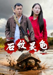 石纹灵龟（30集）短剧终极大结局合集