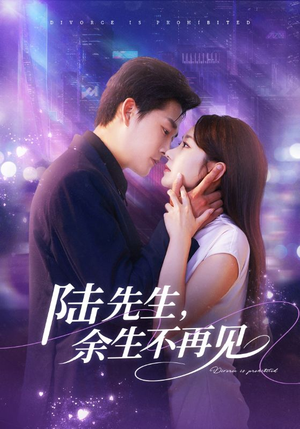 陆先生,余生不再见(88集) 陆先生,余生不再见(88集)短剧最终章免费合集