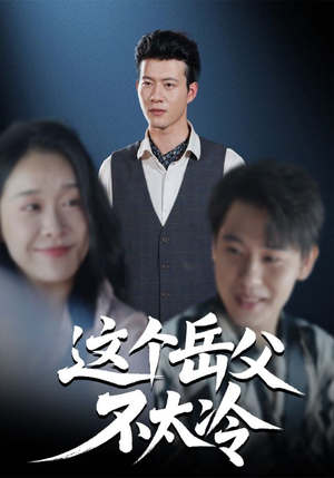 这个岳父不太冷（30集）短剧终极大放送合集