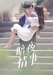 暗夜情事（100集）短剧全集高清完整版