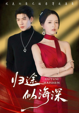 归途似海深（61集）短剧全集畅看无门槛