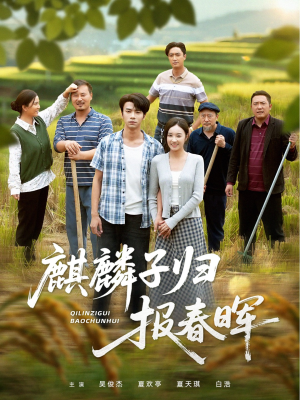 麒麟子归报春晖（36集）短剧超清全集在线看