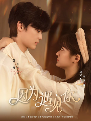 因为遇见你（79集）短剧全集投屏大屏看