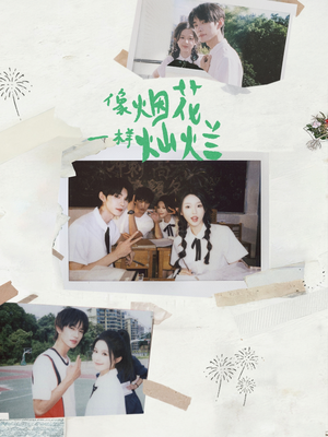 像烟花一样灿烂（60集）短剧全剧终合集放送