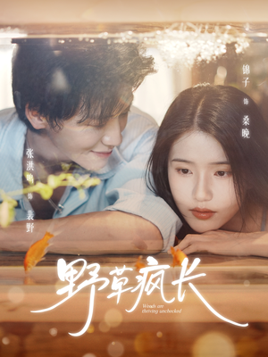 野草疯长(71集) 野草疯长(71集)短剧全集特惠限时看